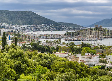 The Serenity of The Cityscape