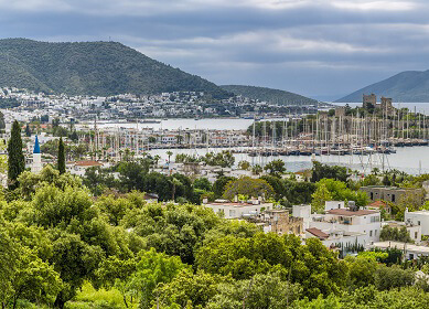 The Serenity of The Cityscape